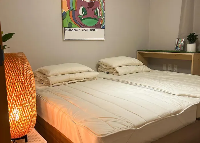 Solid Apartamento